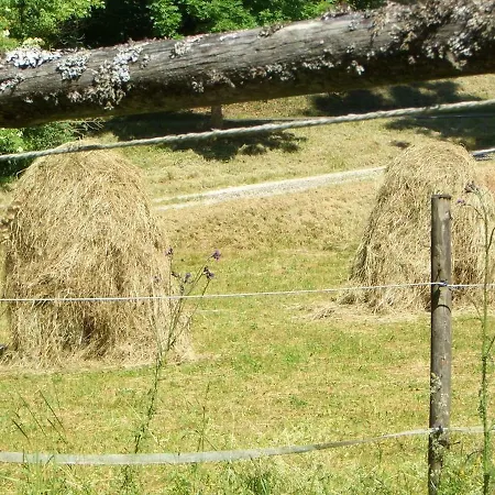 Ferienhaus Eichenstein * Messstetten
